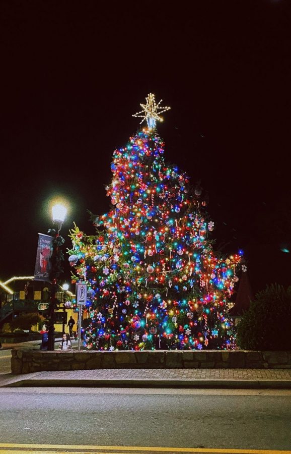 Decorative+photo+of+a+Christmas+Tree
