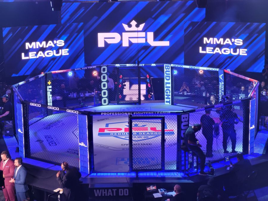 Knockouts Galore at PFL 6