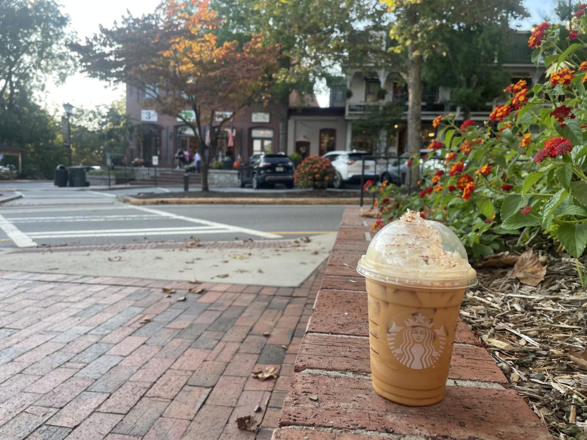 Fall Flavors Rolling Out at Dahlonega Coffee Shops