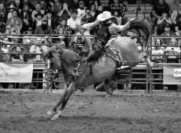 10th Anual Gainesville Pro Rodeo