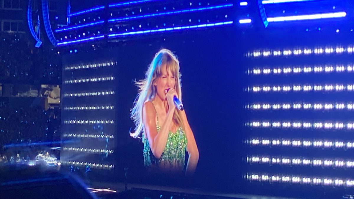 Taylor Swift Concert Photo