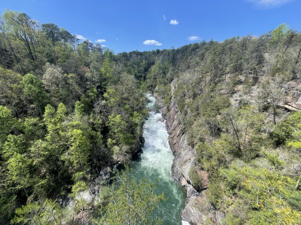 View of Hawthorne Pool at Tallulah Gorge
