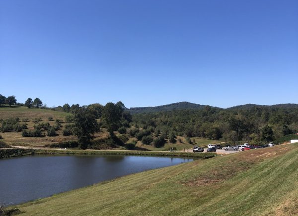 Core Destinations: Top Apple Orchards to Visit this Fall