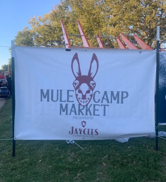 Upon the entrance of the Mule Camp Market, multiple signs were present advertising the 30th anniversary of the festival. 