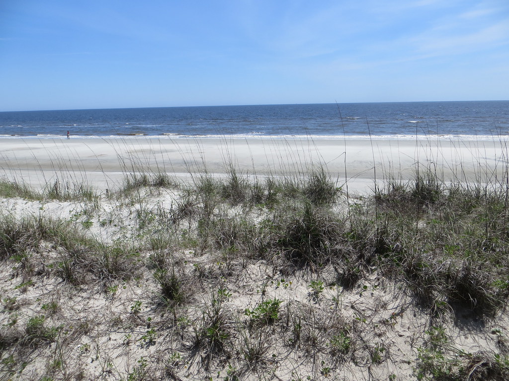 Sapelo Island in McIntosh County where seven people lost their lives from a gangway crash.