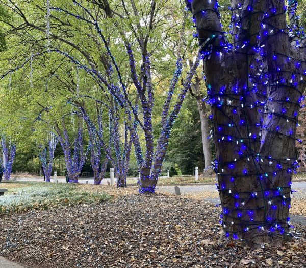 UGA employees are working diligently to bring the 2024 Winter WonderLights to life. 