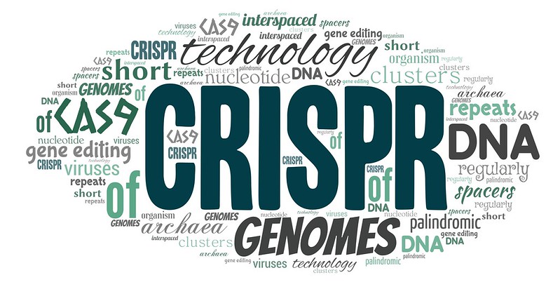 CRISPR is technology with the potential to eradicate ailments and other harmful stimuli in the world. 