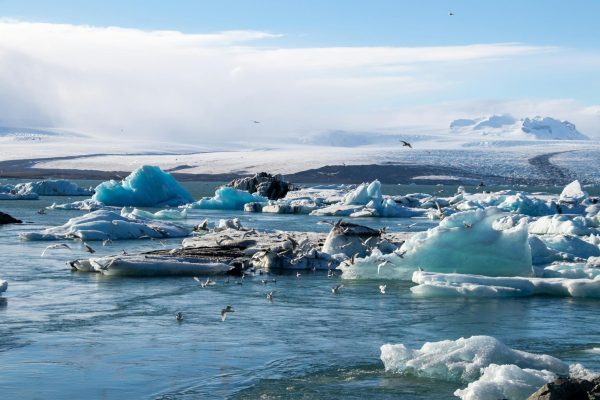 The Arctic ice is melting due to climate change. 