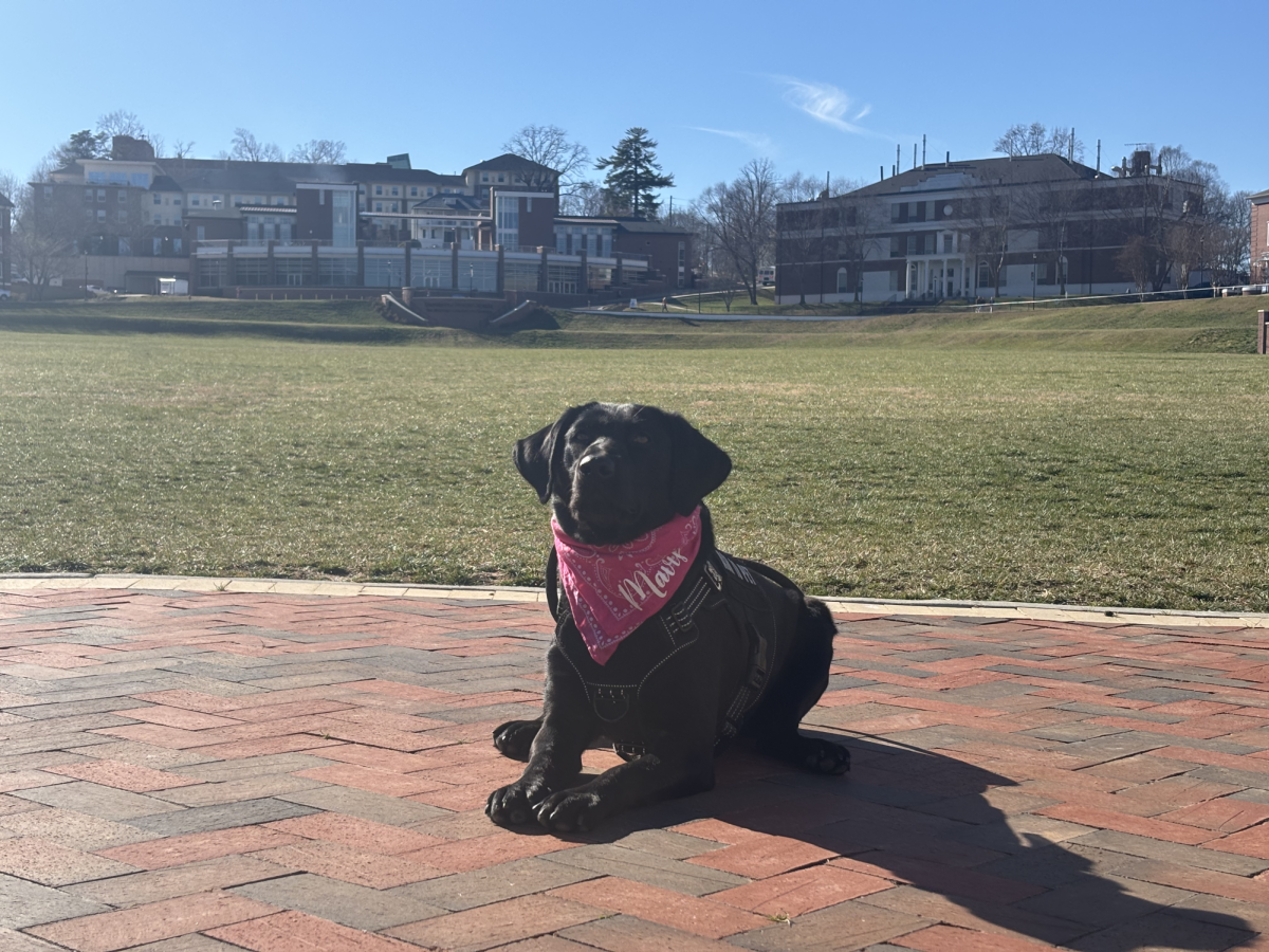 Mavis stuns on the Dahlonega campus drill field.