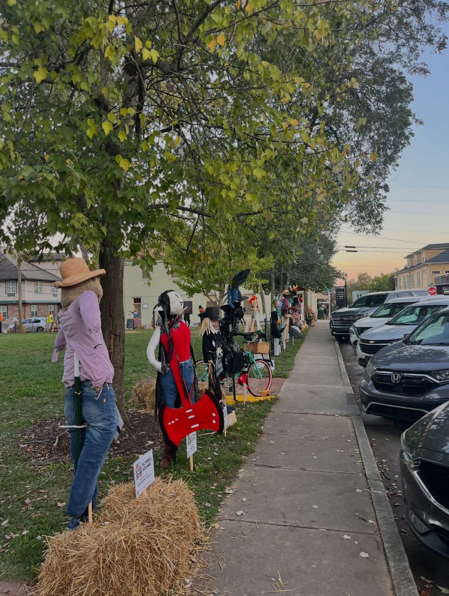 FALLing in Love with Dahlonega: Students Share Autumnal Faves