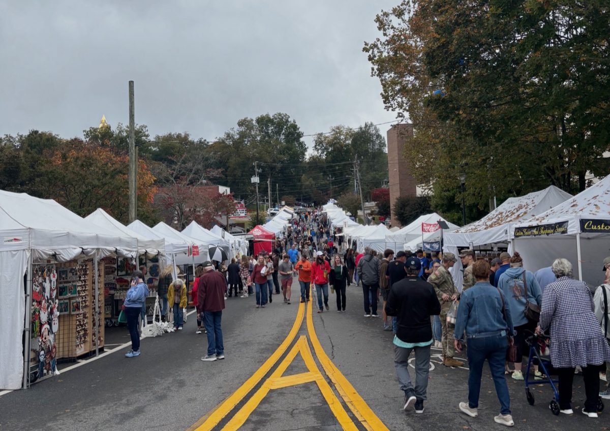 People from near and far gathered on one of Dahlonega’s streets browsing booths.