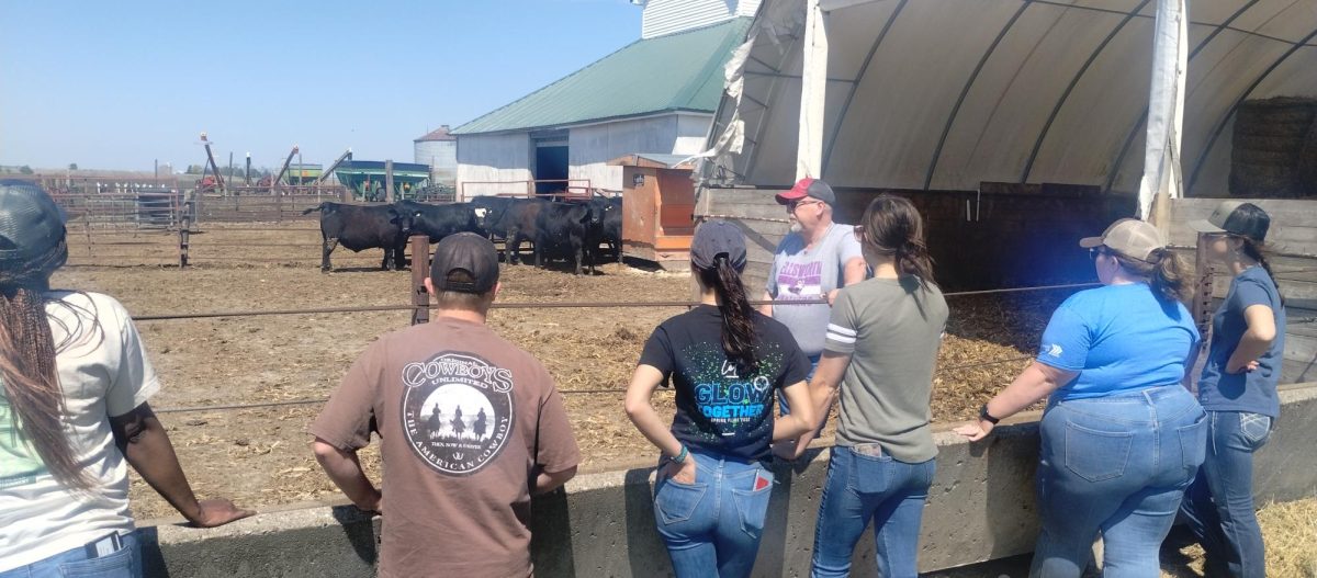 UNG Students Trade Classwork for Cornfields in Iowa Study Away Program 