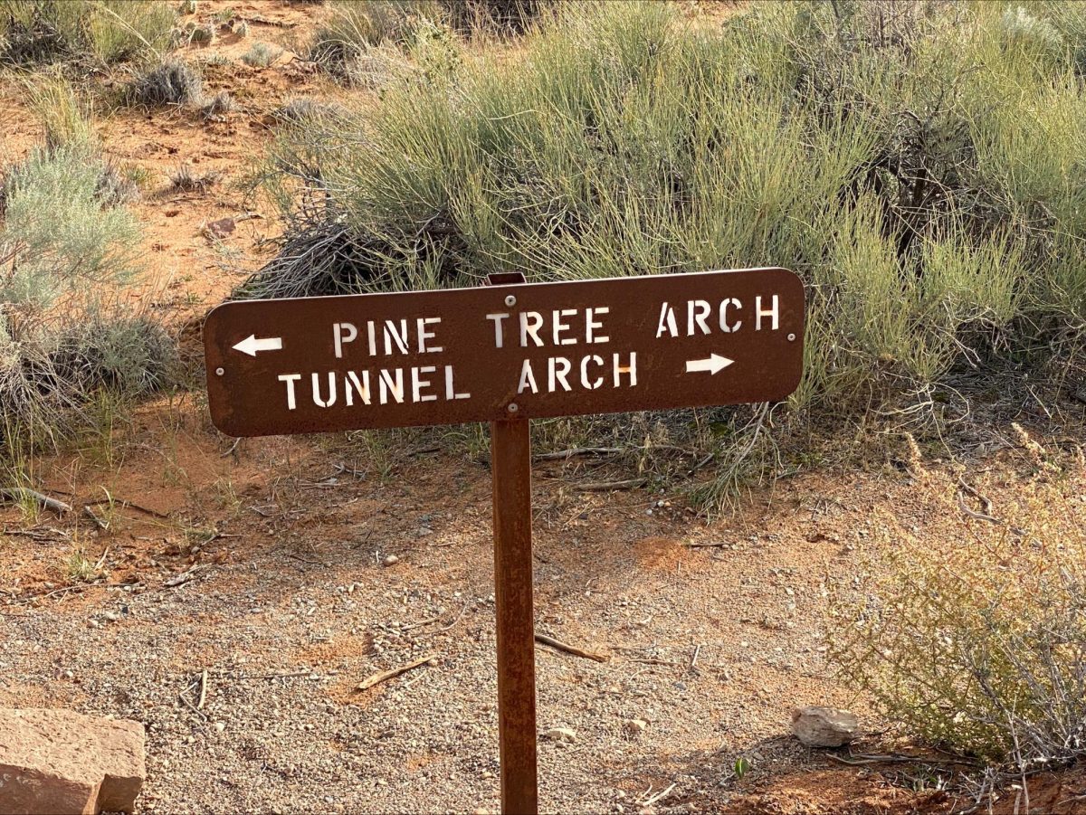 Arches National Park is among the three changing their reservation system to allow more visitors during this summer season.  Photo by Sandie Tripp.