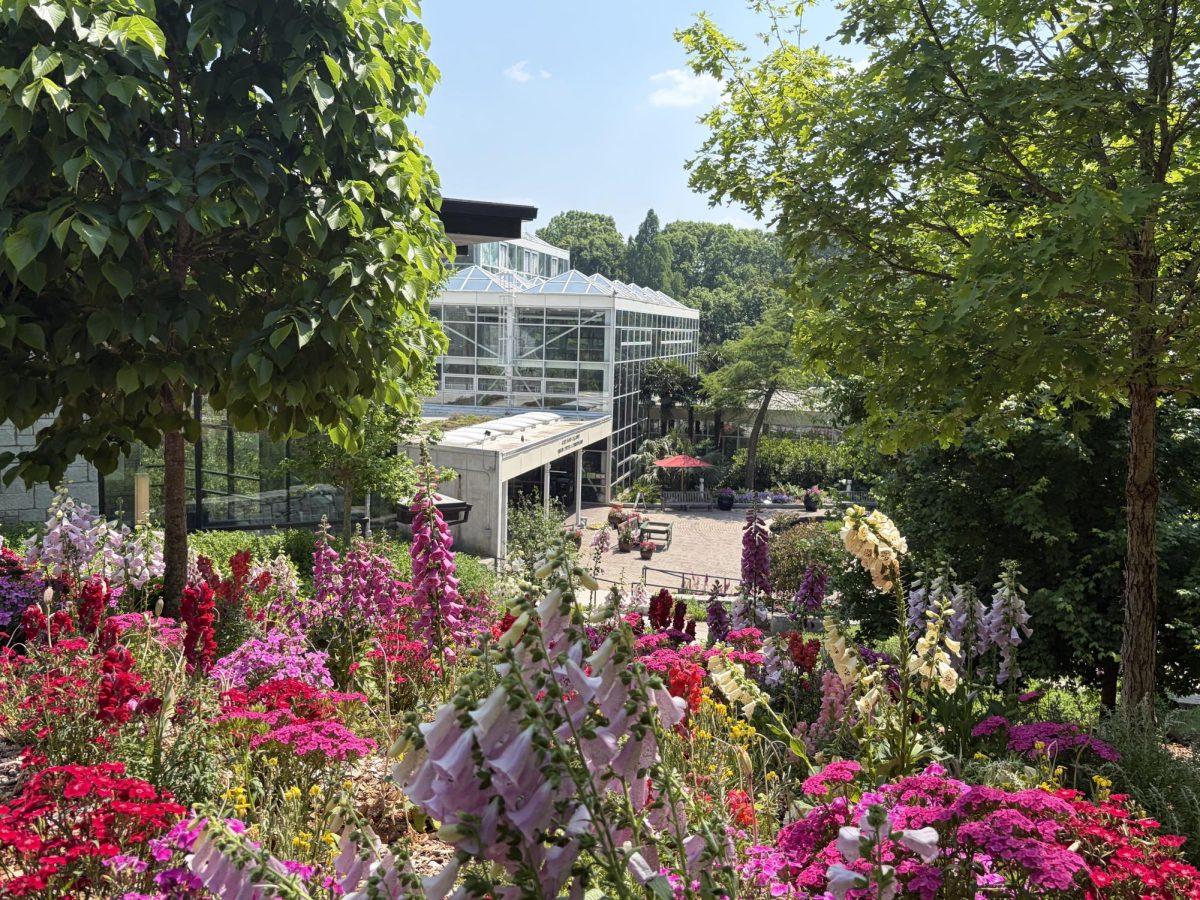 The walkway entrance into the State Botanical Garden of Georgia, showcasing local fauna before setting foot inside. Photo By Riley Hansen